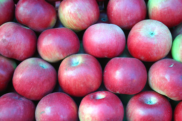 apples