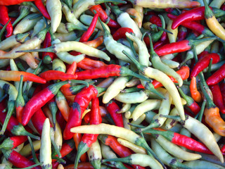 hot peppers