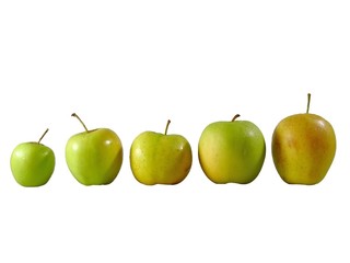 de la petite à la grosse pomme