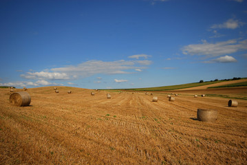 Obraz premium A perte de vue