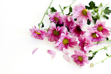 Fototapeta na wymiar bunch of pink flowers