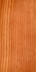 Naklejka premium legno sequoia