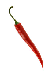 Red hot chili pepper