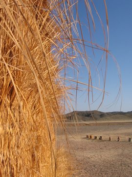 fieno nel deserto