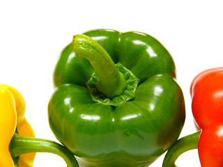 Paprika Support