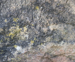 sandstone background