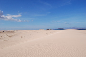 Fototapeta na wymiar Sanddünen von Corralejo