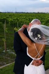 A bride and groom sharing a kiss after their marriage ceremony.