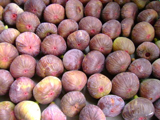 figues mures 