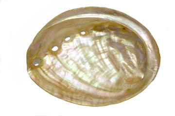 pearl seashell inside view isolated on white background