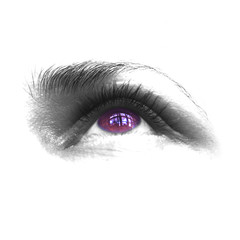 Purple eye isolated