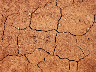 Drought Terrain