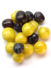 plum