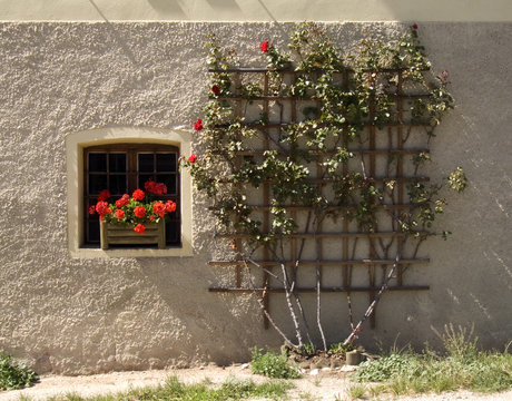 finestra con gerani e rose rosse