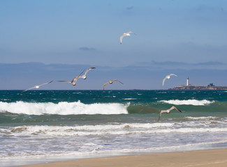 Birds over lighthouse