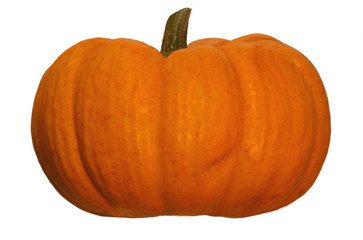 Short Pumpkin