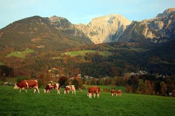 Fototapeta na wymiar Berchtesgaden