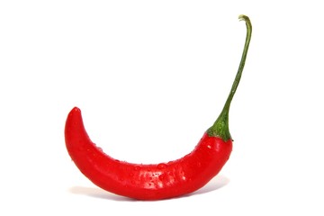 Chilischote