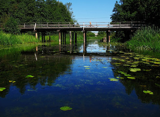 Obraz premium river roads
