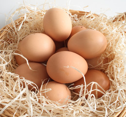 eggs in a basket