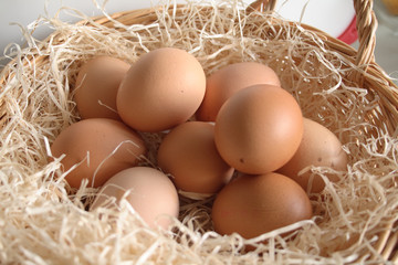 eggs in a basket