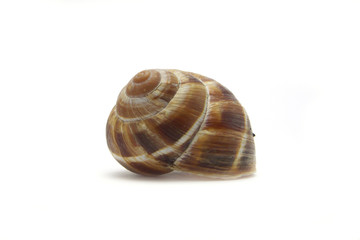 Spiral shell-side
