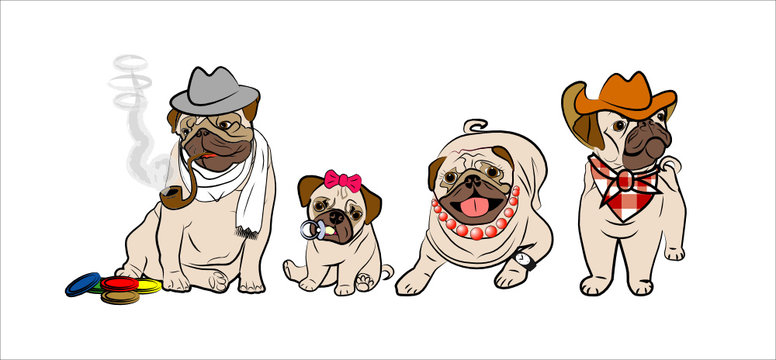 Vector illustration of four pugs