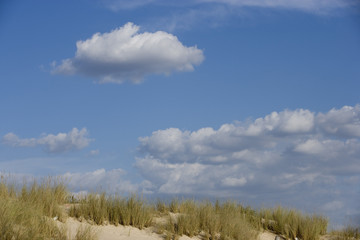 Cielo azul nubes blancas