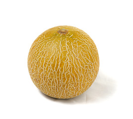 melon