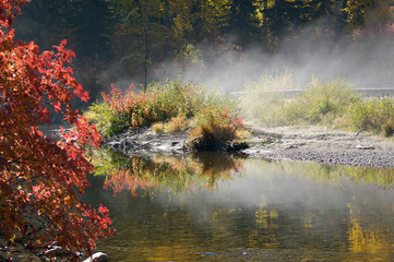 Morning Fog at the Creek