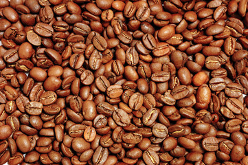 coffee bean