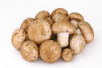 Champignons de Paris