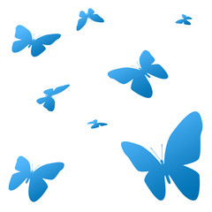 Obraz na płótnie Canvas Butterflys