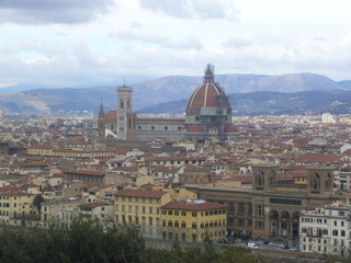 Fototapeta premium FLORENCIA-VISTA DE FLORENCIA