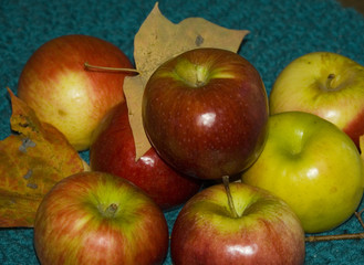 autumn apples