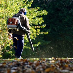 leaf blower