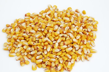 Kernels of Corn 3