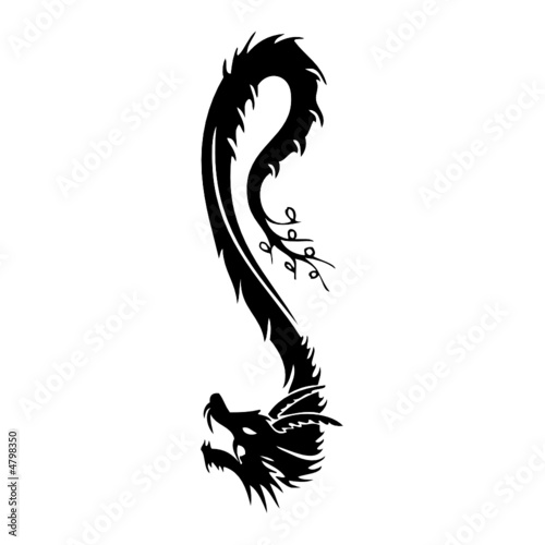 quot dragon vector tatoo quot stock image and royalty free vector quot dragon vector tatoo quot stock image and royalty free vector