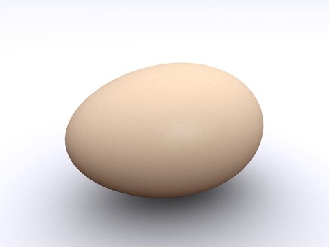 egg rendering