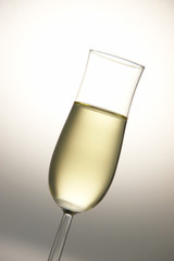 Champagne glasses
