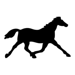 Obraz na płótnie Canvas black horse silhouette vector tatoo