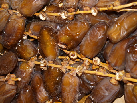 branchettes