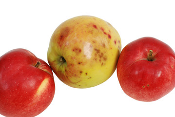 apple