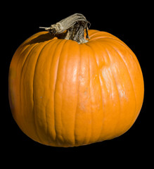 Pumkin isolated with black background