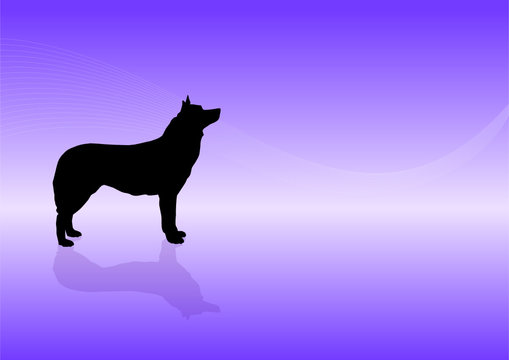 Animals Silhouette - Dog wolf