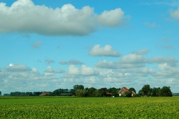 Bauernhof in Holland