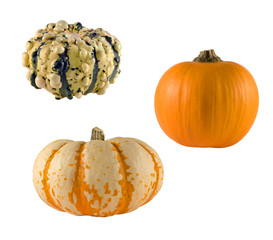 Gourds and pumpkin on a white background