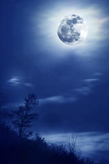 Vollmond © Gina Sanders