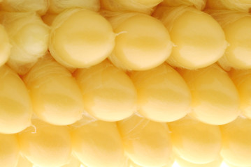 close up of corn 