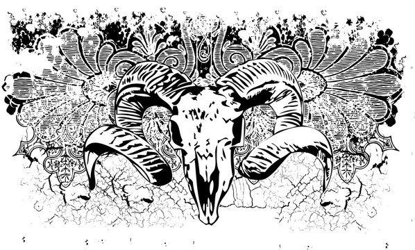 Grunge goat skull illustration
